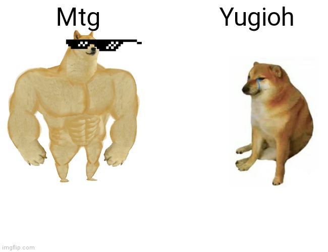 Magic the gathing is better than yugioh. Imgflip