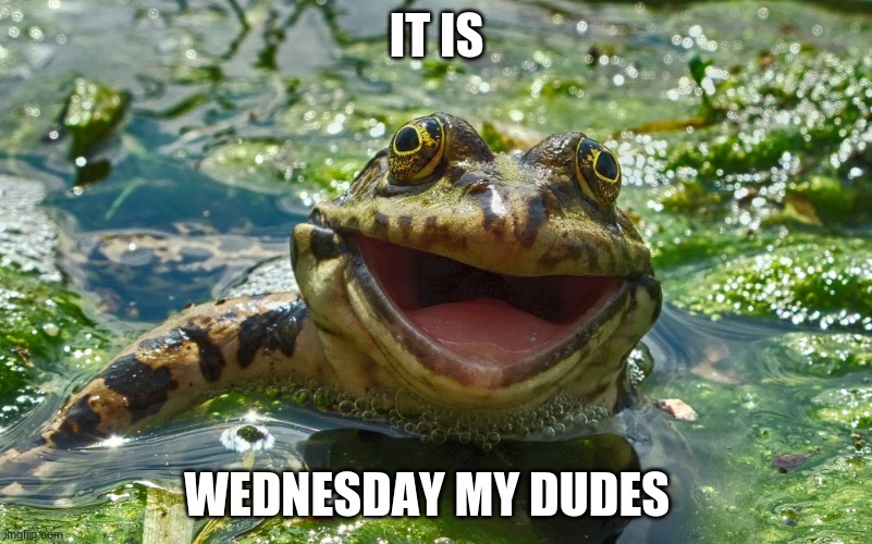 It is wednesday Imgflip