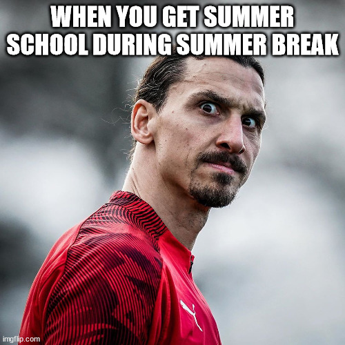 Summer School=Worst Summer Ever Imgflip
