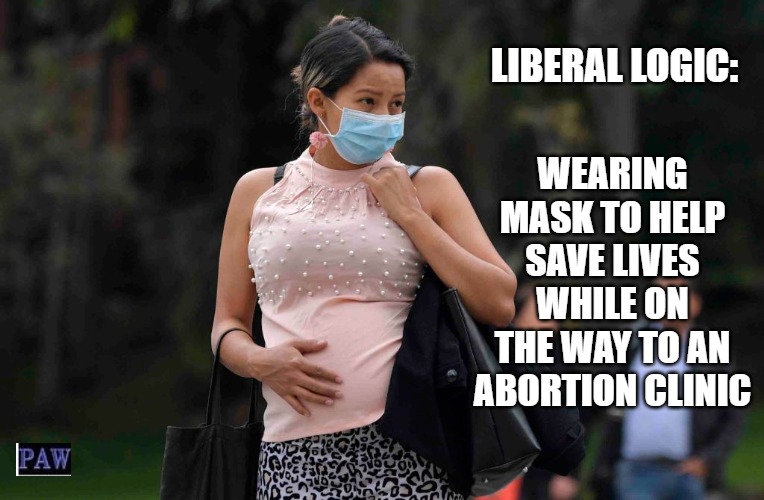 Liberal Logic Imgflip