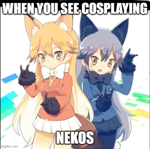nekos be like Imgflip