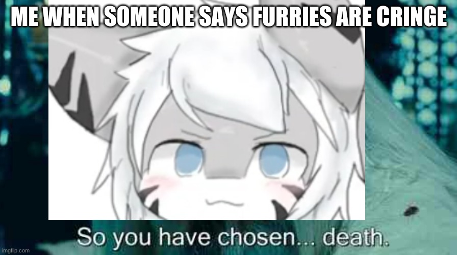 so you have chosen, transfur. Imgflip