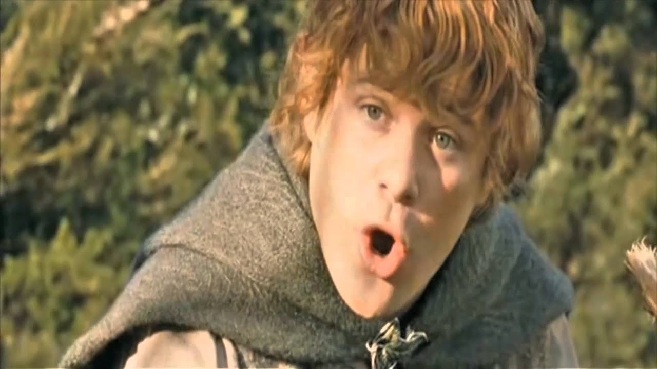 Sam lotr potato Blank Template Imgflip