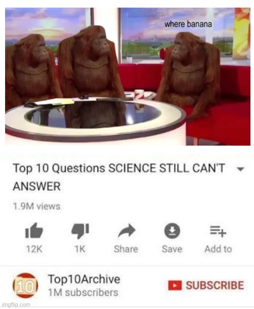 Top 10 questions Science still can't answer Imgflip