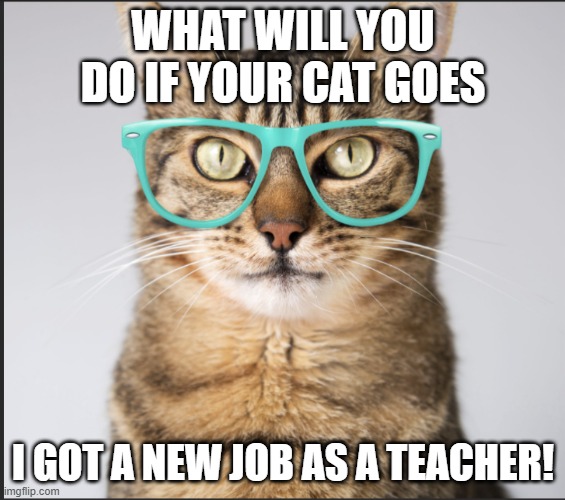 Cats Have Jobs? Imgflip