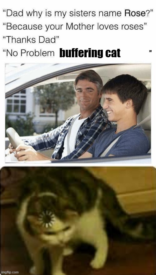 Image tagged in why is my sister's name rose,buffering cat Imgflip