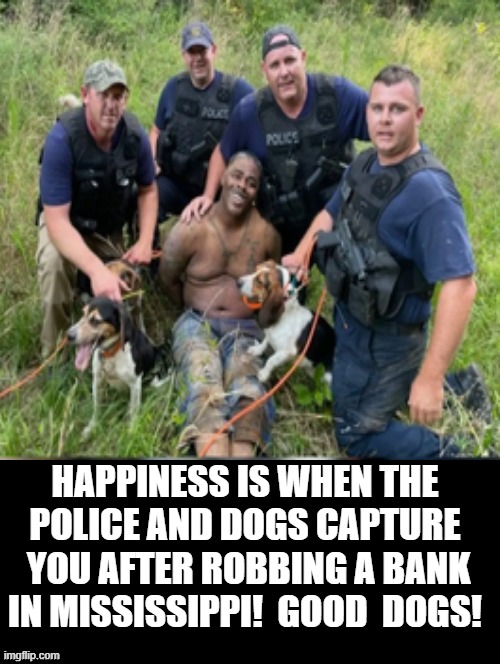 Happiness is when the police and dogs capture you after robbing a bank