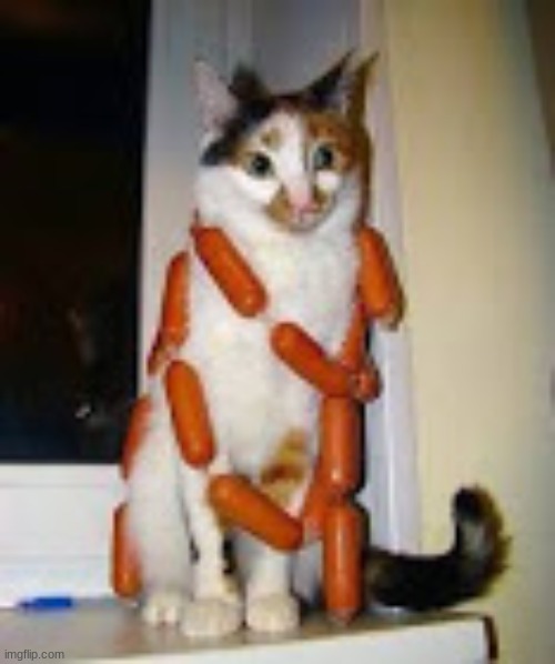 ALL HAIL SAUSAGE CAT!!!! Imgflip