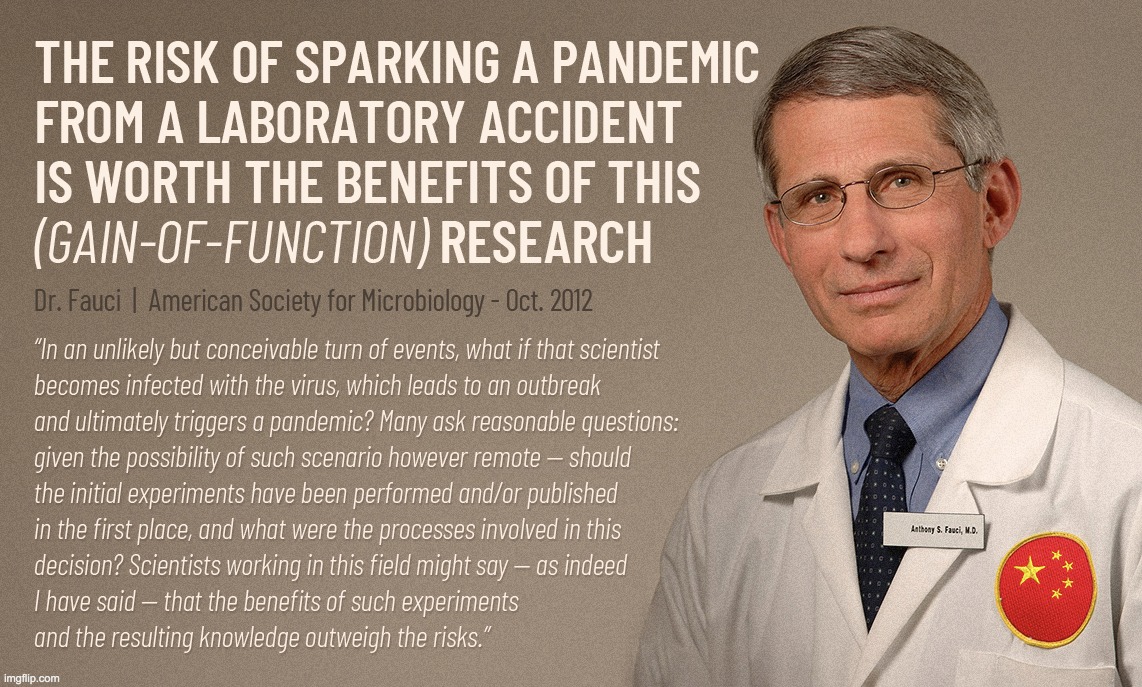 Fauci on GainOfFunction Pandemic worth the risk Imgflip