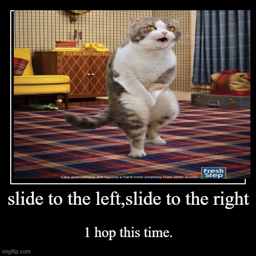 cha cha slide cat Imgflip