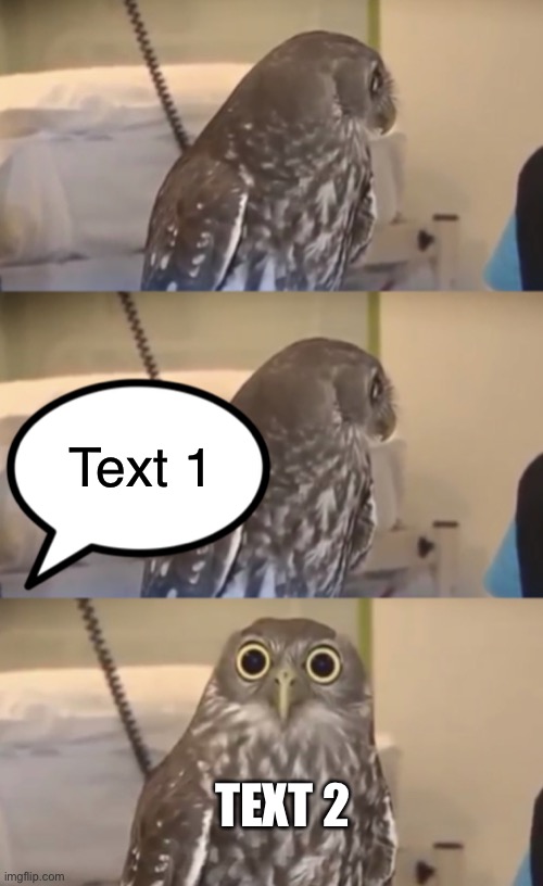 Owl Imgflip