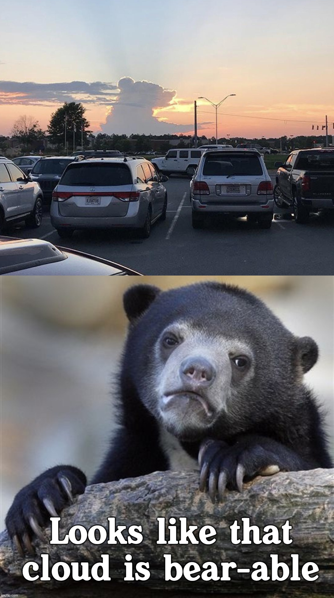 Looks like Yogi. Imgflip