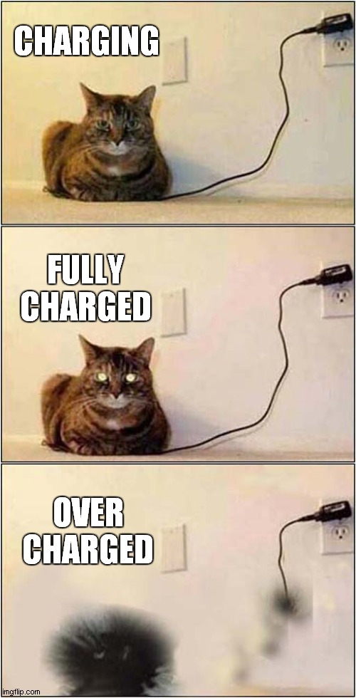 Faulty Cat Charger ! Imgflip