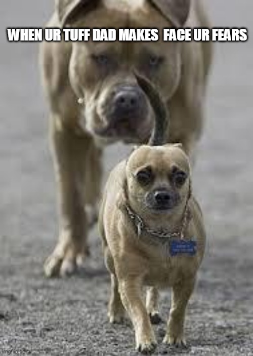 big dog little dog Memes Imgflip