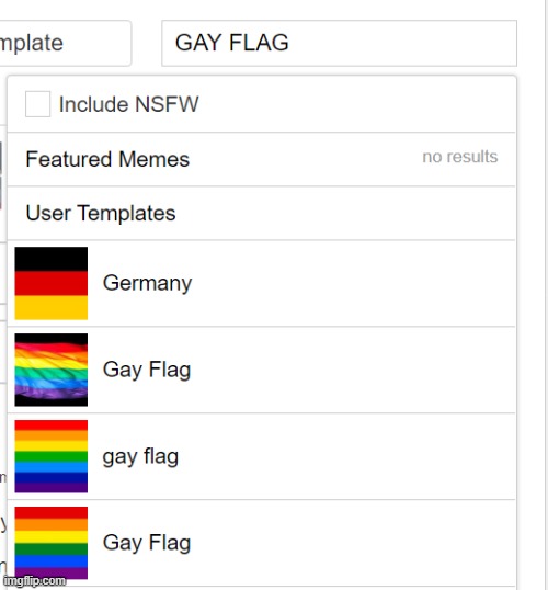 XD why is the first thing that comes up when you search gay flag on