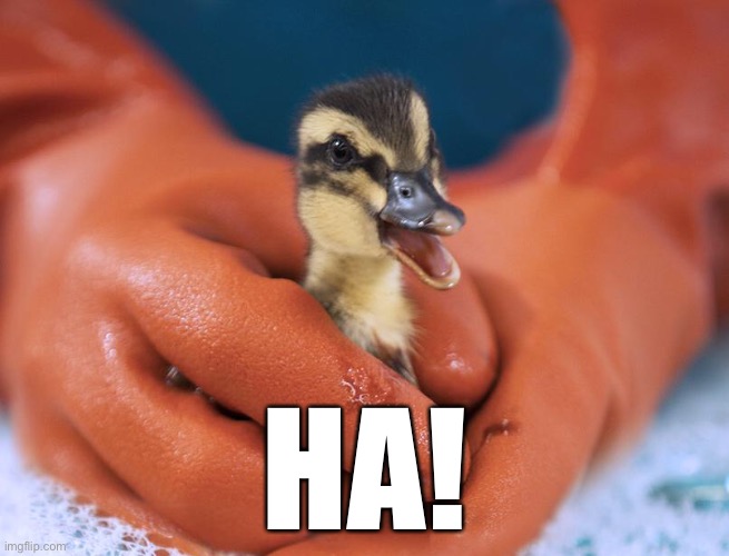 Dawn is tough Imgflip