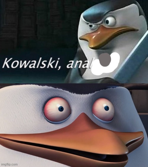 Image tagged in analysis,shook skipper Imgflip