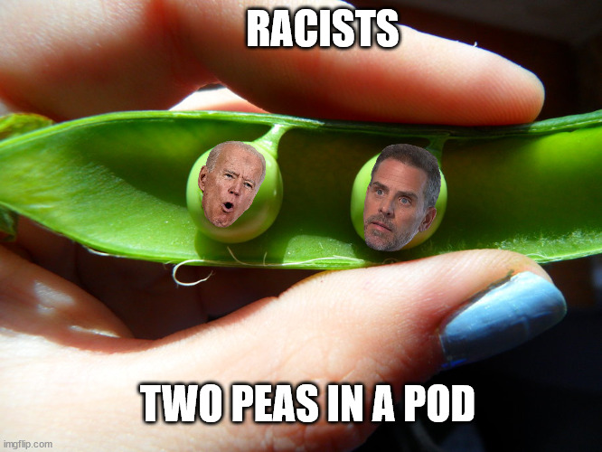 Peas in a pod Imgflip