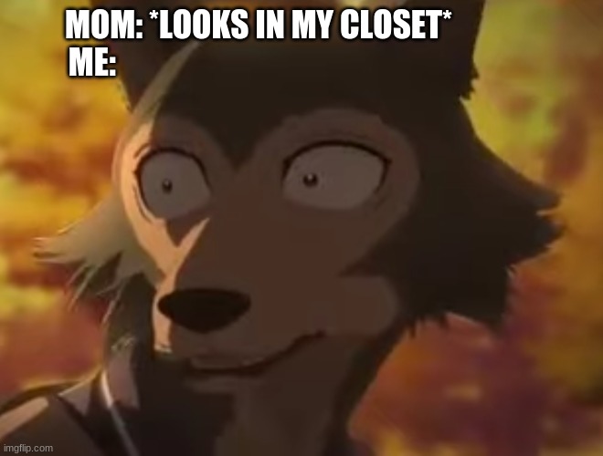 sacred furry temple closet Imgflip