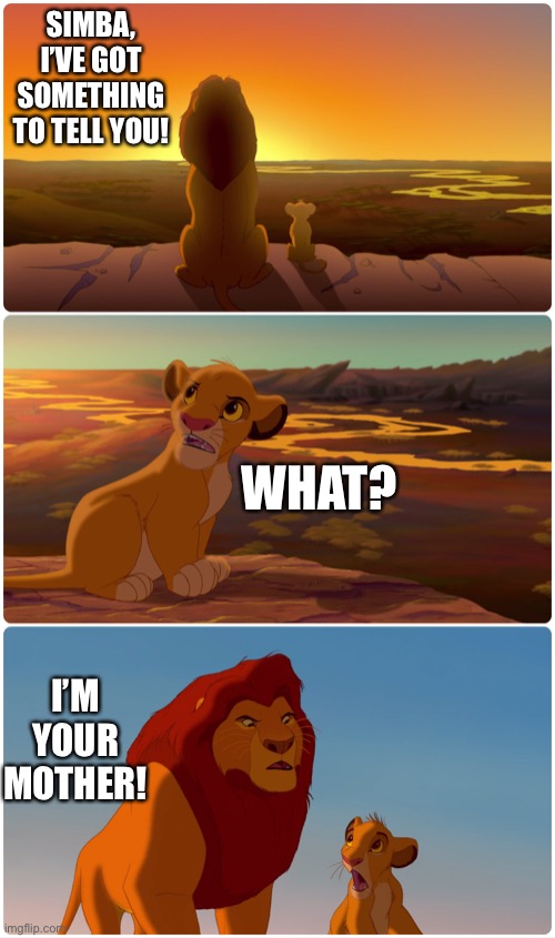 Lion King Meme Imgflip