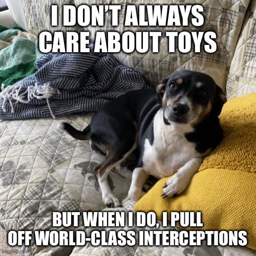 doggy toy interceptions Imgflip