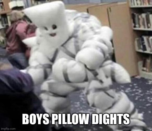 pillow fights Memes & GIFs Imgflip