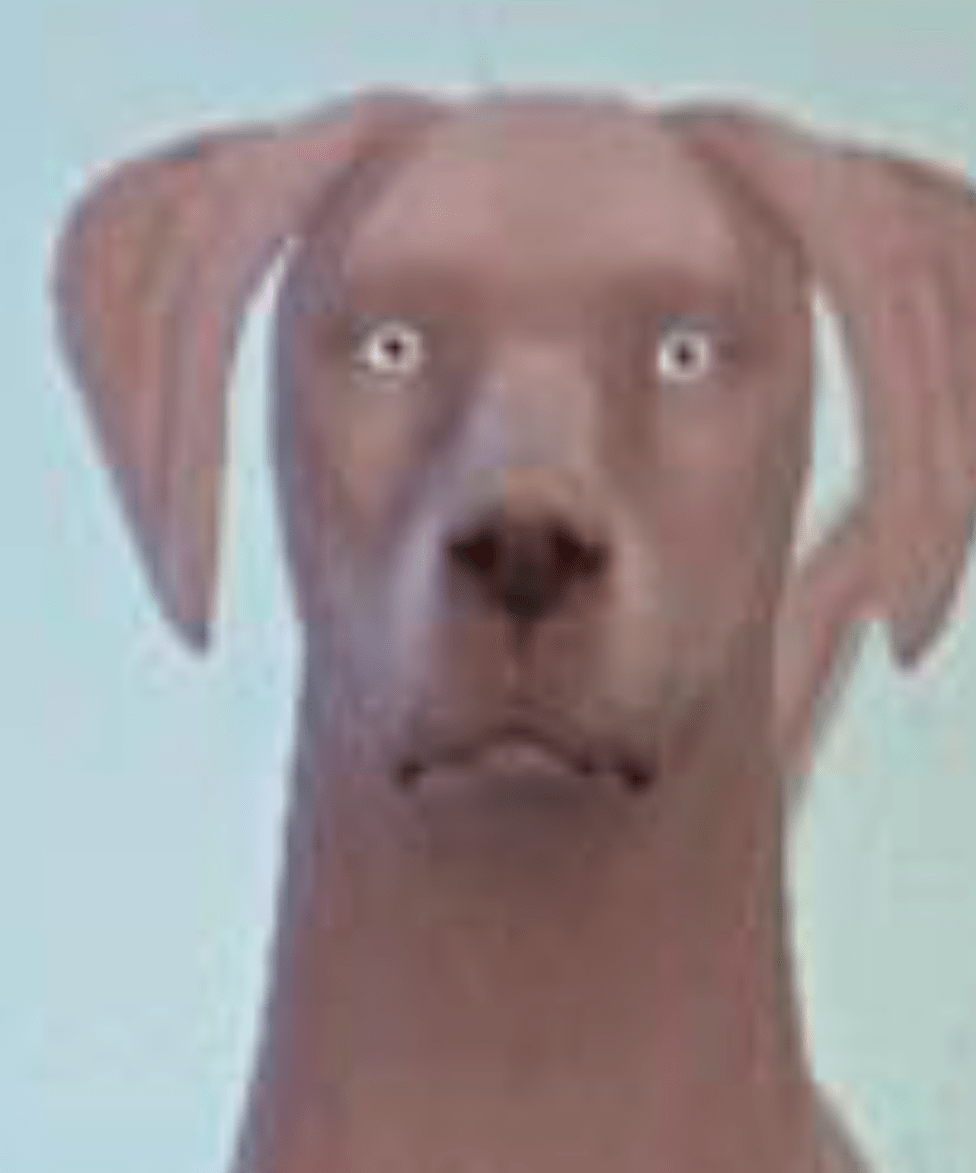 Density Temu blank stare Memes Imgflip