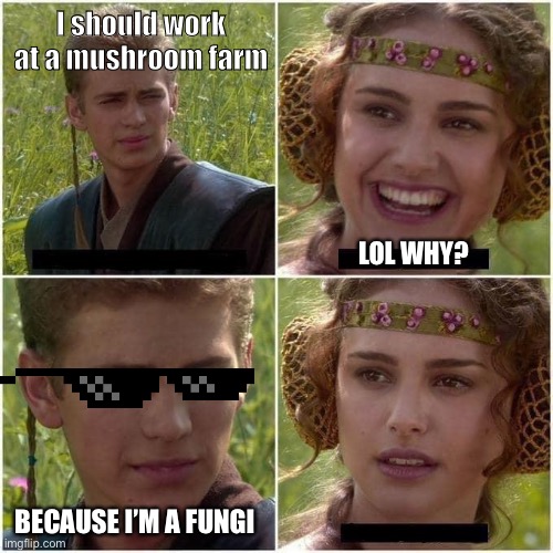 Dad jokes Imgflip