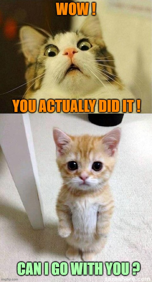 I should buy a boat Imgflip