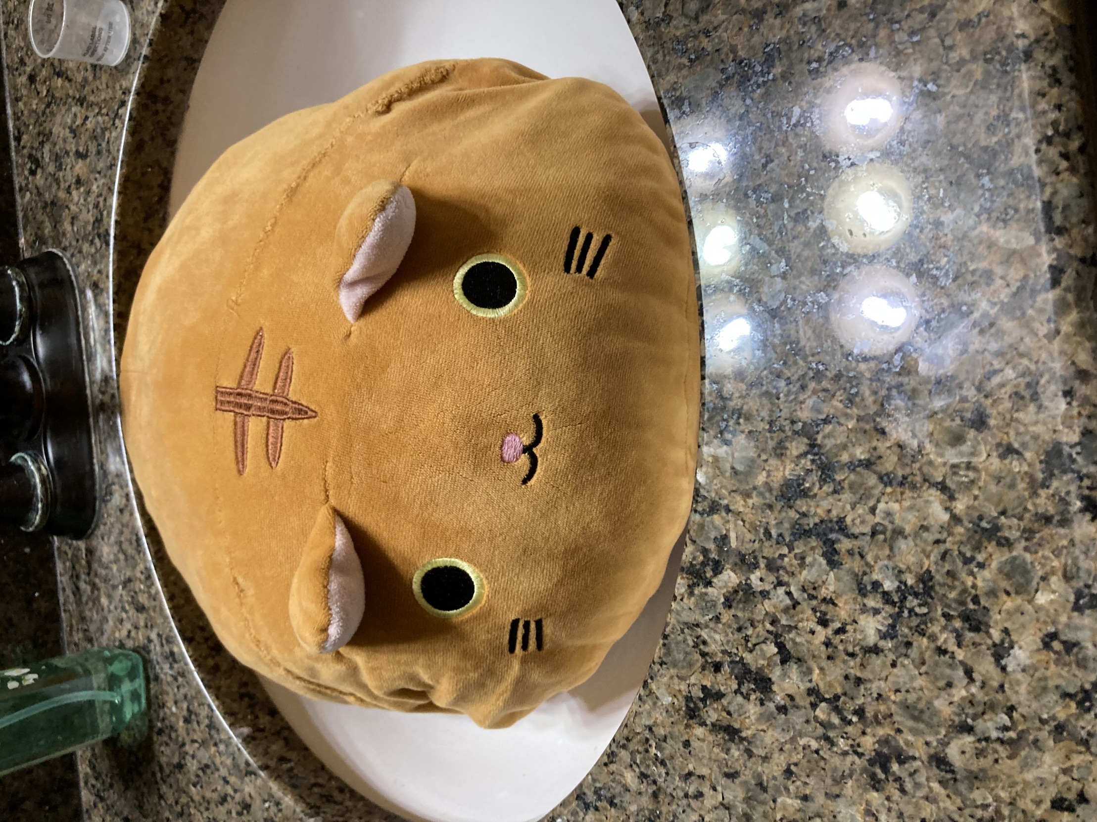 Sink Cat Blank Template Imgflip