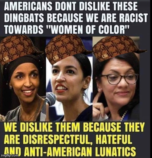 politics ilhan omar Memes & GIFs Imgflip