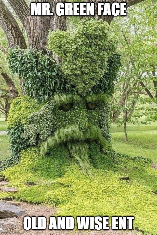 Mr Green Face Imgflip