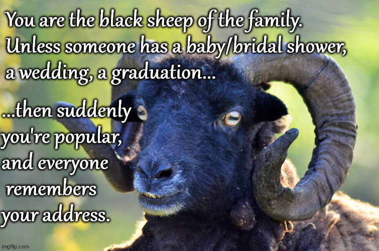 black sheep of the family meme Black Sheep Memes & Gifs - Imgflip