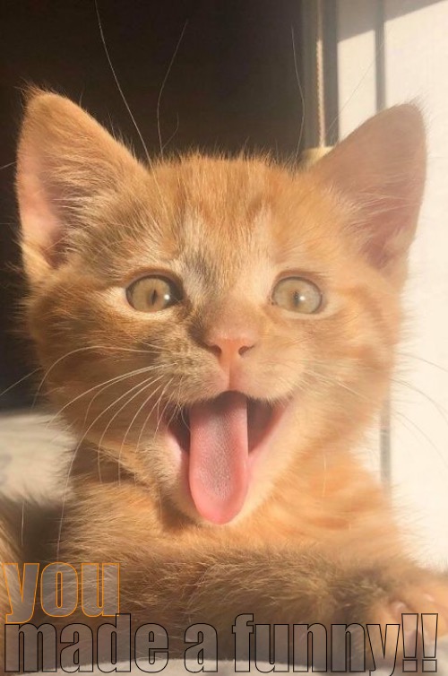 She Looked Good Imgflip