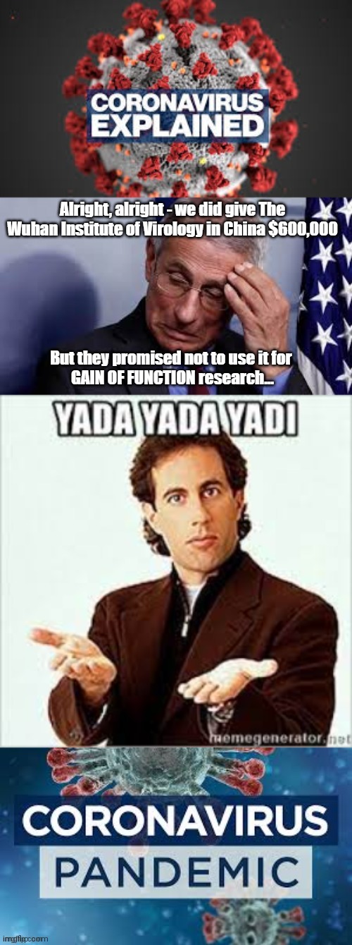 seinfeld Memes & GIFs Imgflip