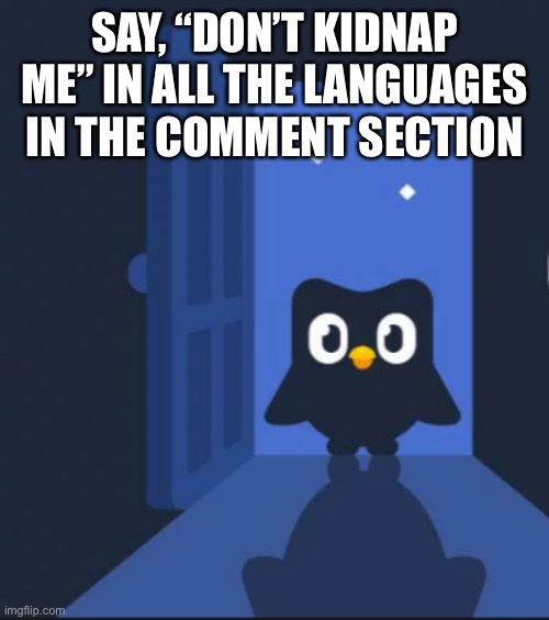 Do it or else the Duolingo bird will kidnap you Imgflip