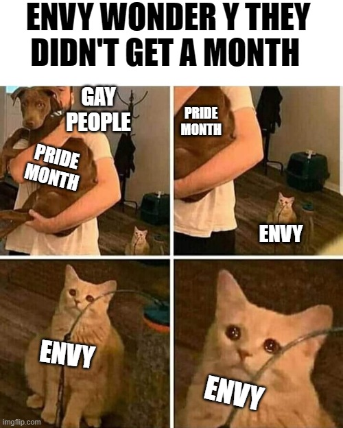 Sad Cat Holding Dog Imgflip