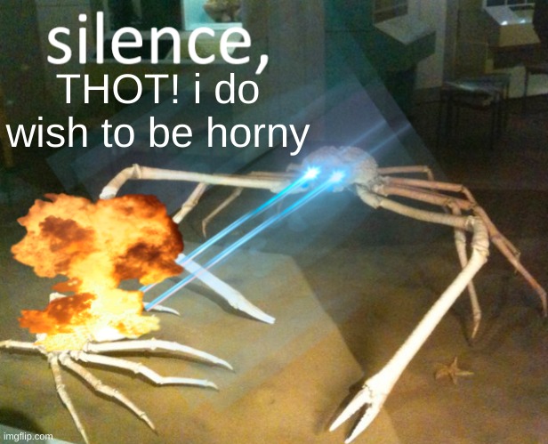 silence THOT! Imgflip