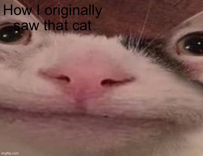 Image tagged in awkward silence Imgflip