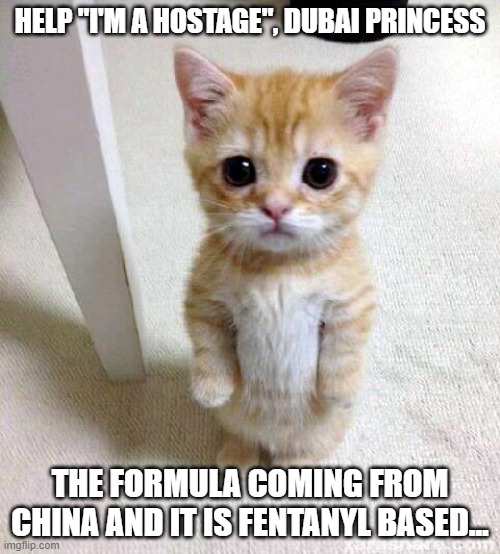 Labs are international, Chinese recipe, I've only heard the basic