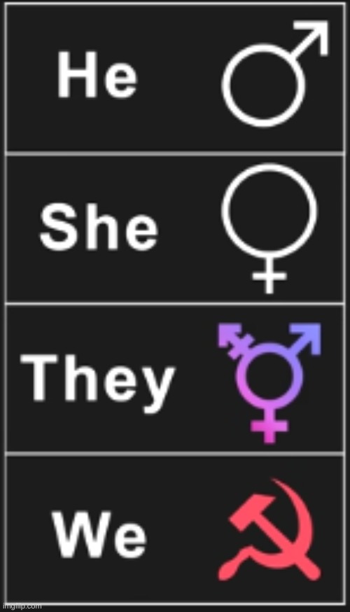 My Pronouns Meme