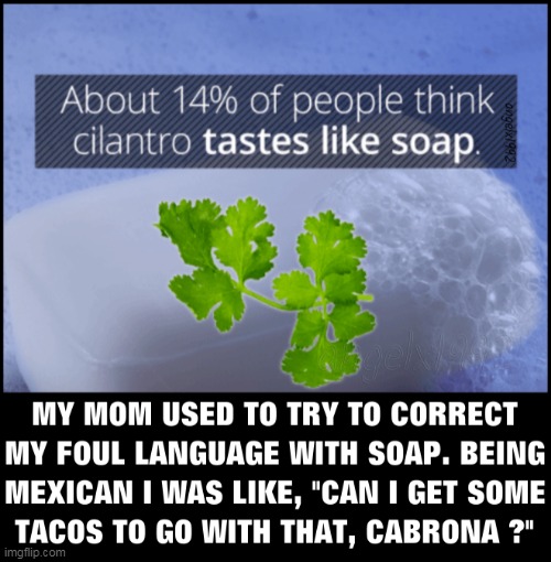 Image tagged in cilantro,soap,mexicans,tacos,foul language,moms Imgflip