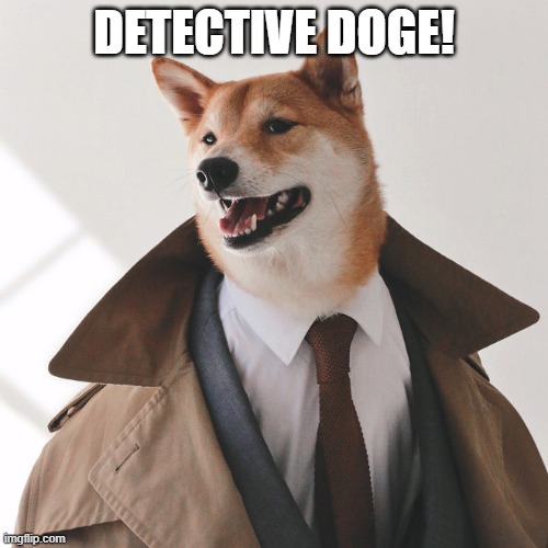 detective doge Imgflip