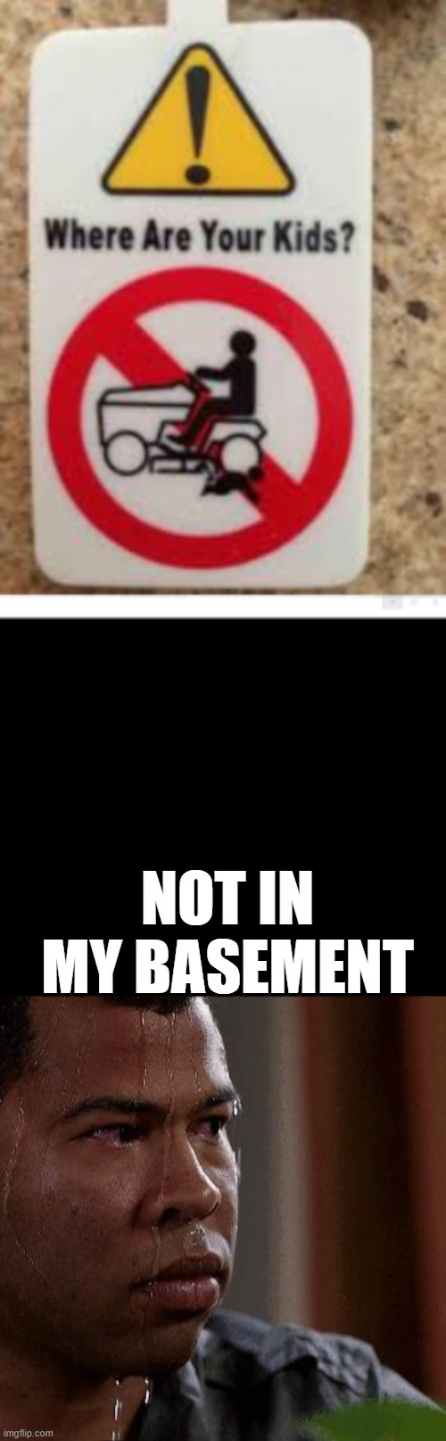 there are no children in my basement. unless you count the bones. Imgflip