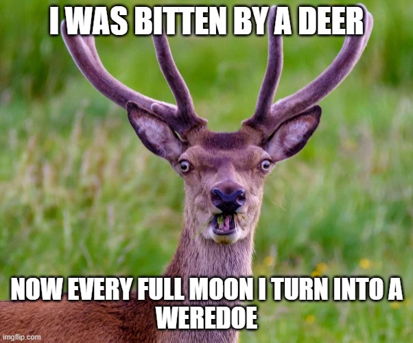 deer Memes & GIFs Imgflip