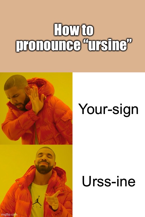 How to pronounce ursine! Imgflip