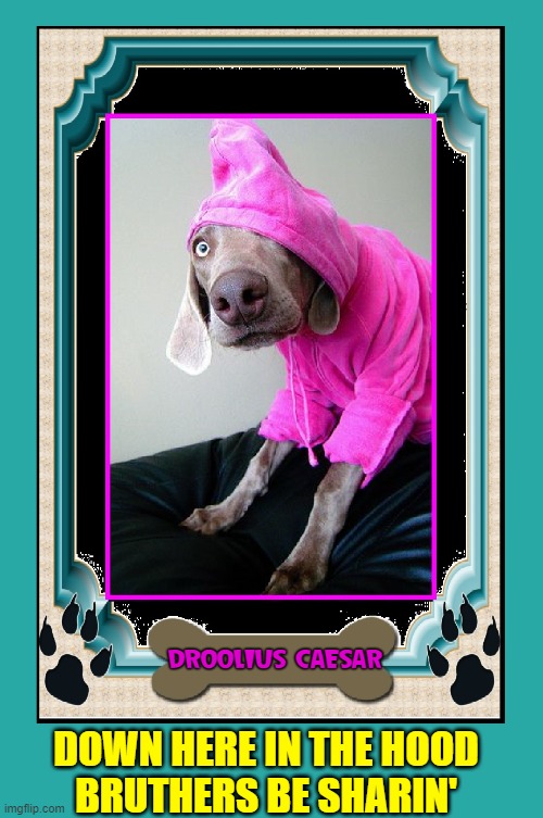 “Every Dog must have his Cheese.” —Sir BarksaLot Imgflip