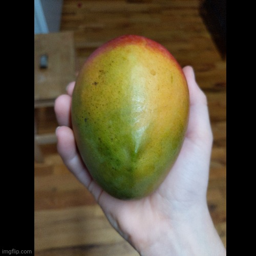 Mango got dem noses Imgflip