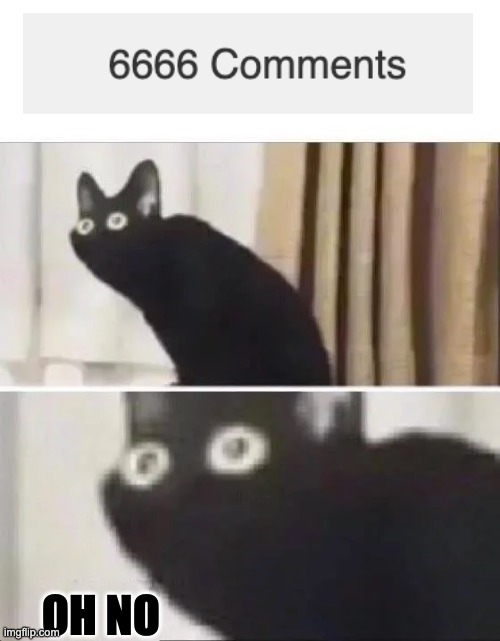 Oh No Black Cat Memes Imgflip