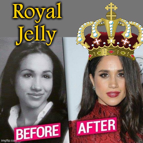 Royal Jelly Imgflip